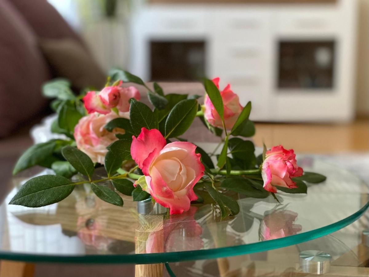 Teresa Apartment 부다페스트 외부 사진